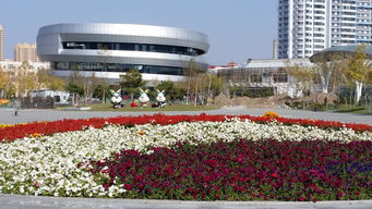 工大高新 二次探底还是又一波暴跌？小散注意技术信号分析