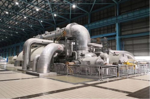 上海这五年 绿色蝶变，垃圾分类引领技术赋能新时尚