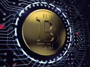 区块链技术开发与物联网的融合 构建可信、高效的数字未来