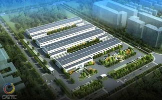 广西正润发展集团总经理丁波 以技术创新引领绿色崛起
